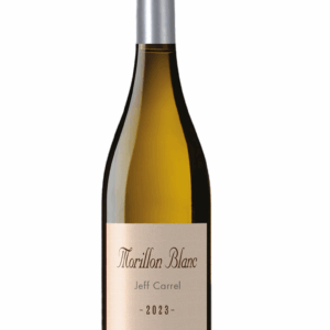 Représentation d’une bouteille de vin blanc Morillion par Jeff Carrel.