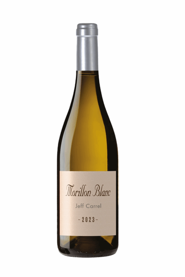Représentation d’une bouteille de vin blanc Morillion par Jeff Carrel.